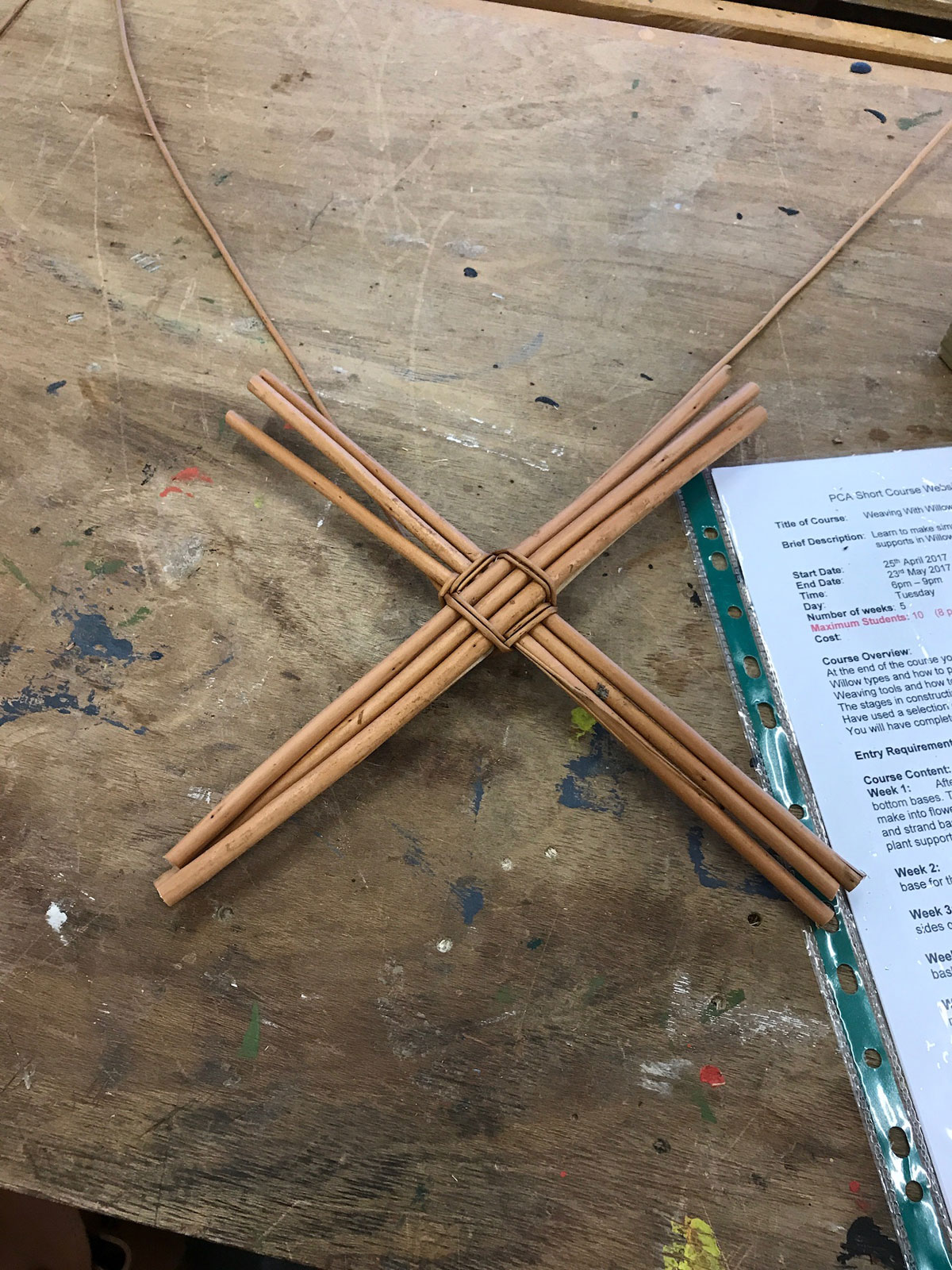 Willow Weaving for Beginners Week 1